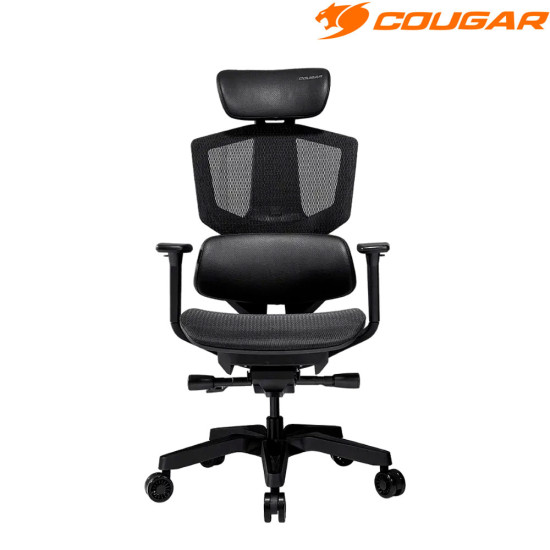 Cougar - Argo One 
