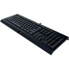 Razer - Cynosa Lite - RGB - מקלדת גיימינג