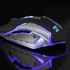R8 1637 Dark Shadow 