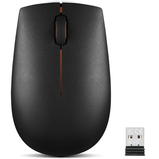 Lenovo - L300