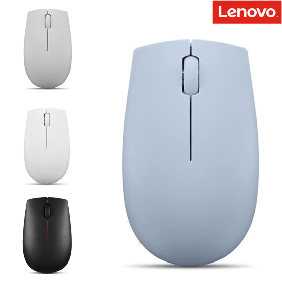 Lenovo - L300