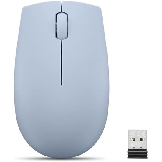 Lenovo - L300