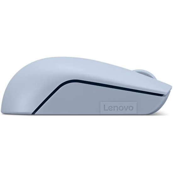 Lenovo - L300