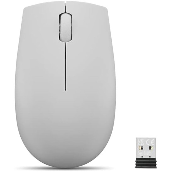 Lenovo - L300
