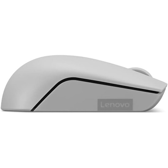 Lenovo - L300