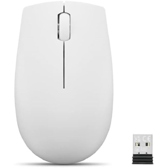 Lenovo - L300