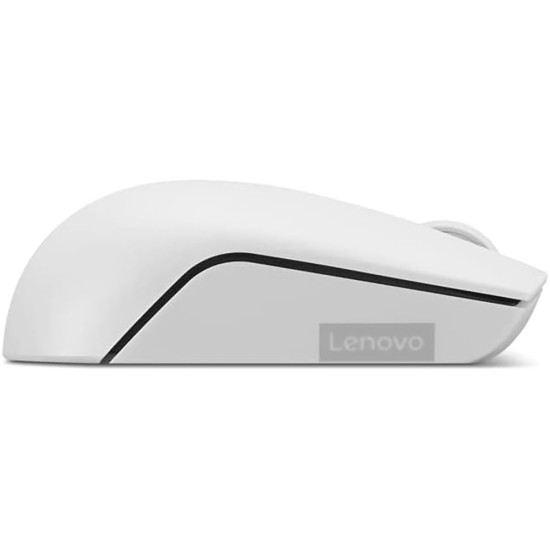 Lenovo - L300